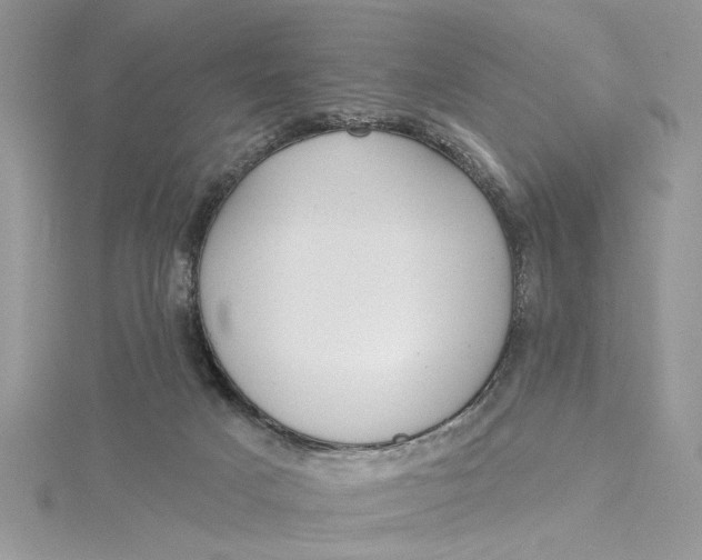 X0000115170025200911181415