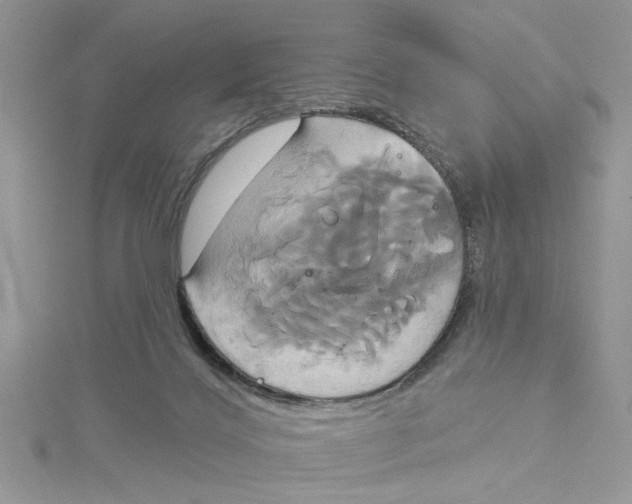 X0000115170028200911181415