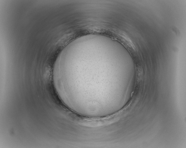 X0000115170029200911181415