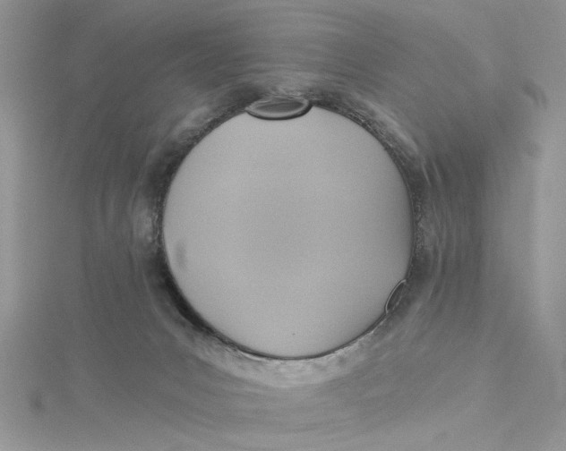 X0000115170031200911181415