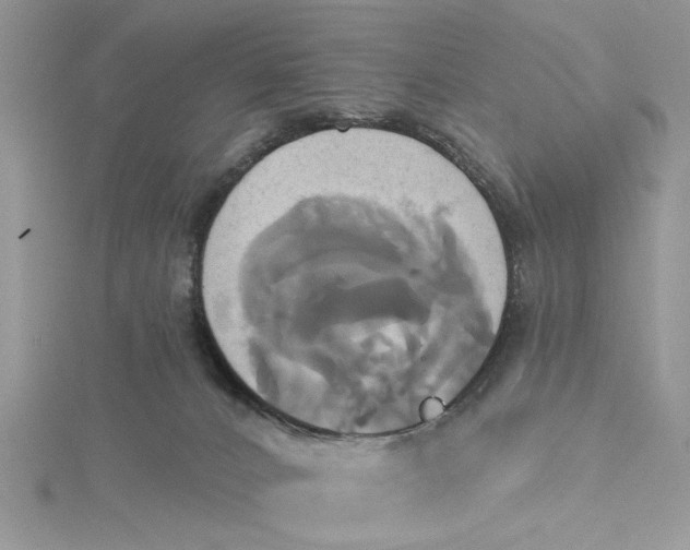 X0000115170032200911181415