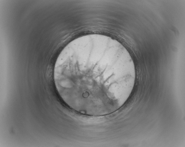 X0000115170036200911181415