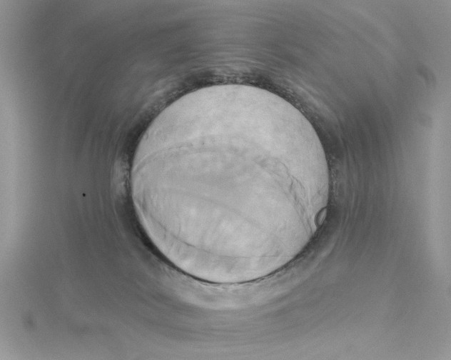 X0000115170038200911181415