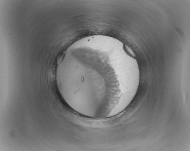 X0000115170040200911181415