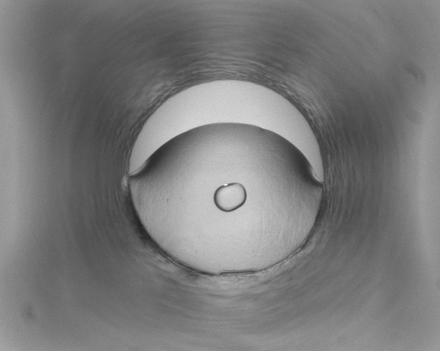 X0000115170041200911181415