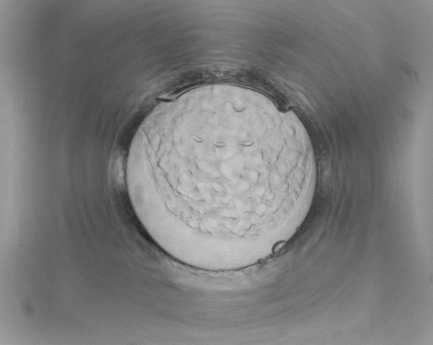 X0000115170042200911181415