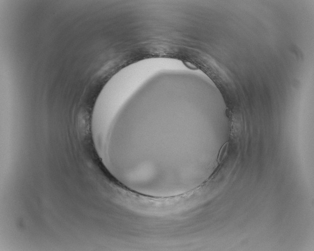 X0000115170043200911181415