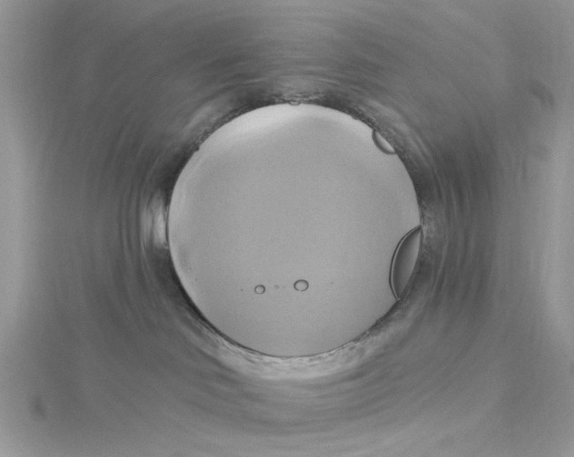 X0000115170046200911181415