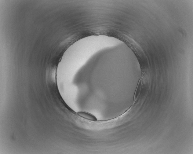 X0000115170047200911181415