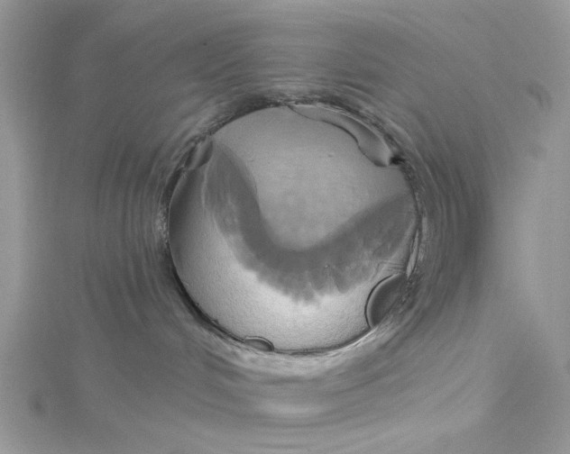 X0000115170048200911181415