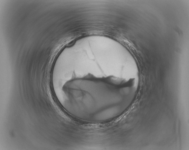 X0000115170049200911181414