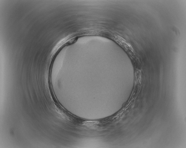 X0000115170051200911181414