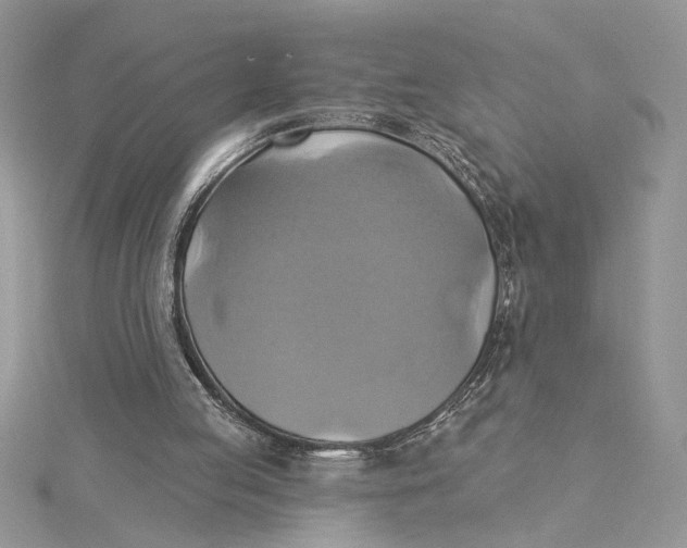 X0000115170053200911181414