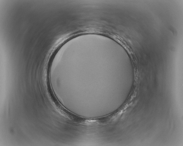 X0000115170055200911181415