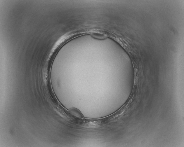 X0000115170056200911181415