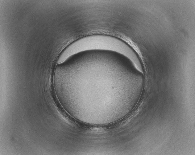 X0000115170057200911181415