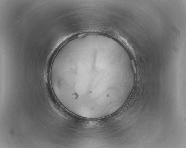 X0000115170060200911181415