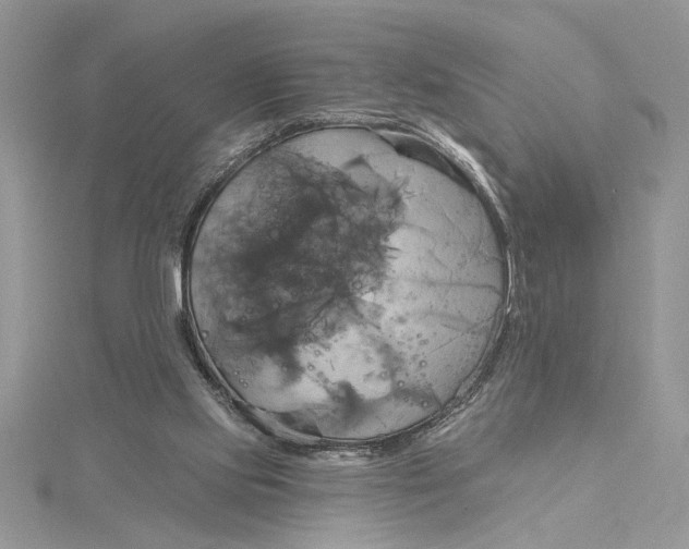 X0000115170061200911181415