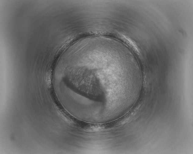 X0000115170065200911181415