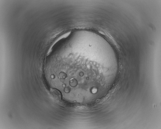 X0000115170066200911181415