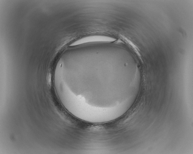 X0000115170067200911181415