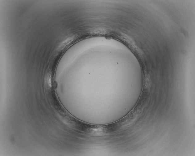 X0000115170068200911181415