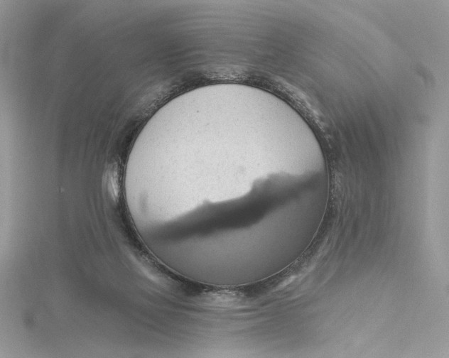 X0000115170069200911181415