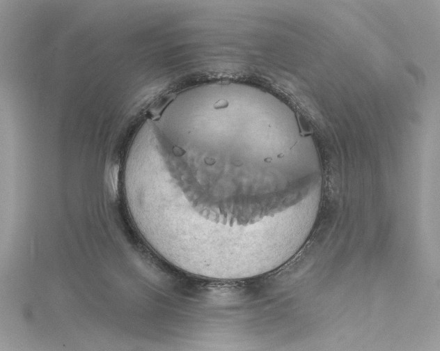 X0000115170070200911181415