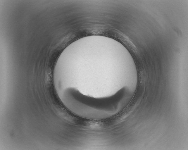 X0000115170073200911181415