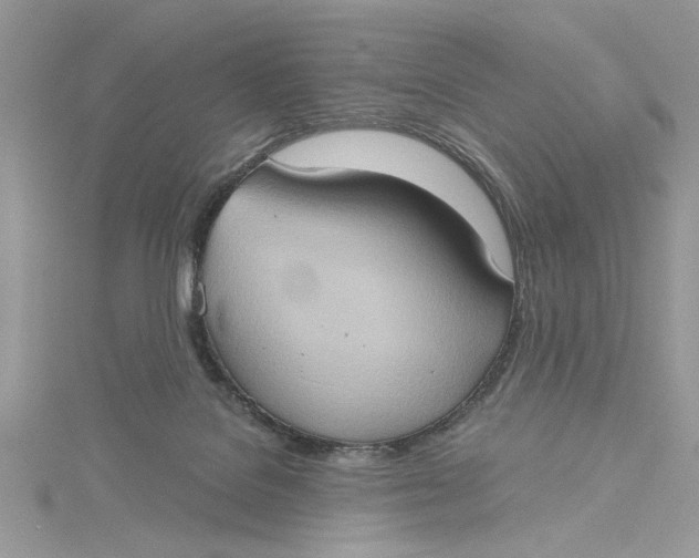 X0000115170076200911181415