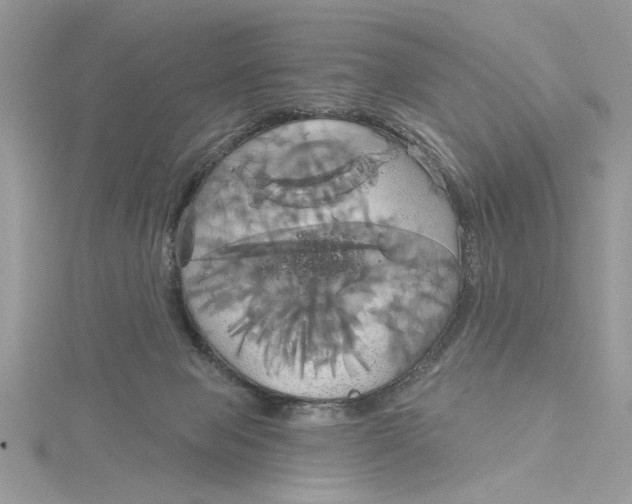 X0000115170077200911181415