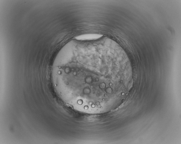 X0000115170078200911181415