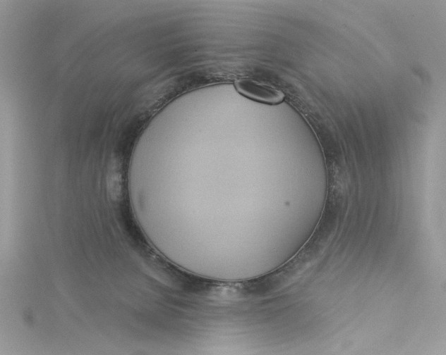 X0000115170080200911181415