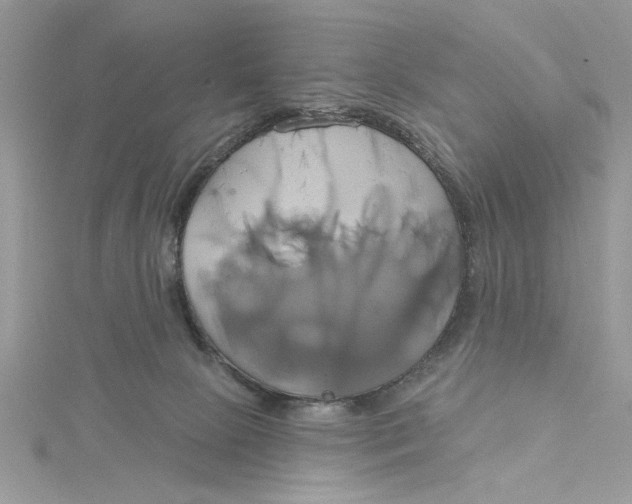 X0000115170081200911181415