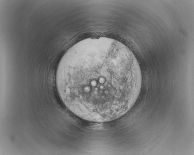 X0000115170083200911181415