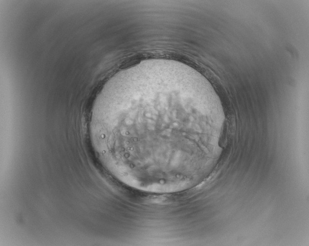 X0000115170086200911181415