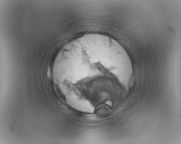 X0000115170089200911181415