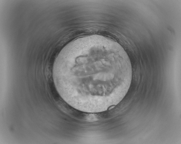 X0000115170091200911181415