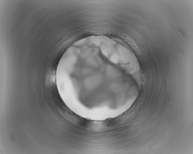 X0000115170095200911181415