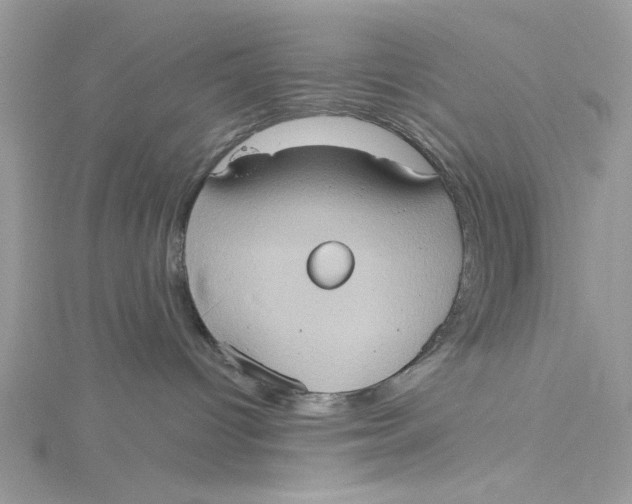 X0000115170096200911181415