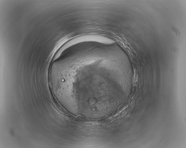 X0000115170099200911181414