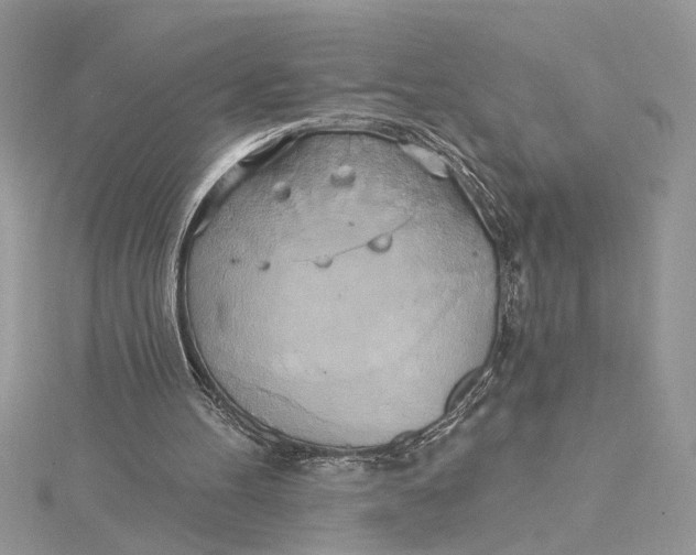 X0000115170100200911181414