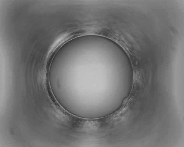 X0000115170101200911181414