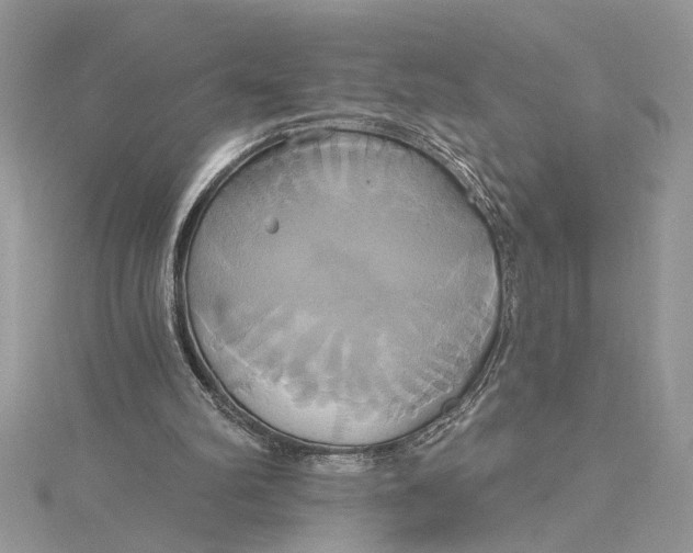 X0000115170102200911181414