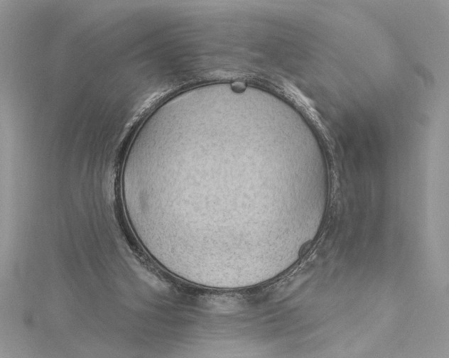 X0000115170106200911181414