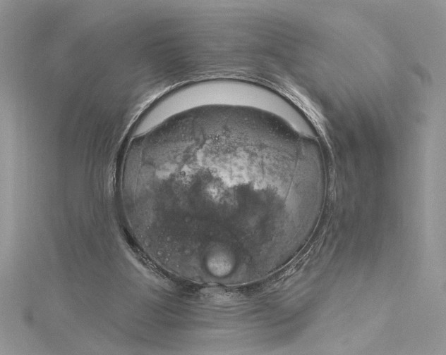 X0000115170107200911181414