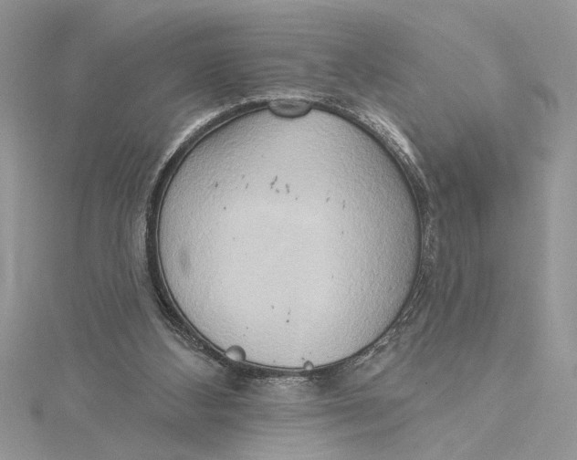 X0000115170108200911181414