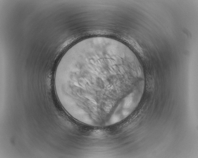 X0000115170111200911181414