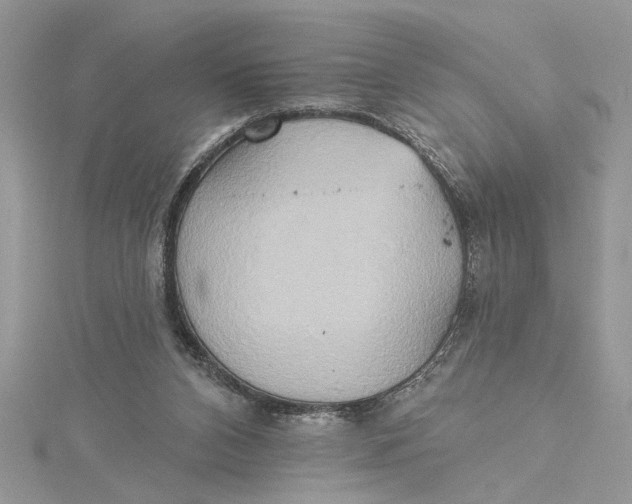 X0000115170112200911181414