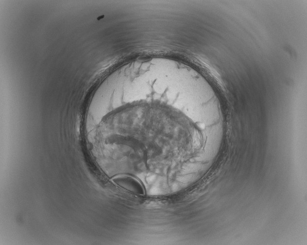 X0000115170115200911181414